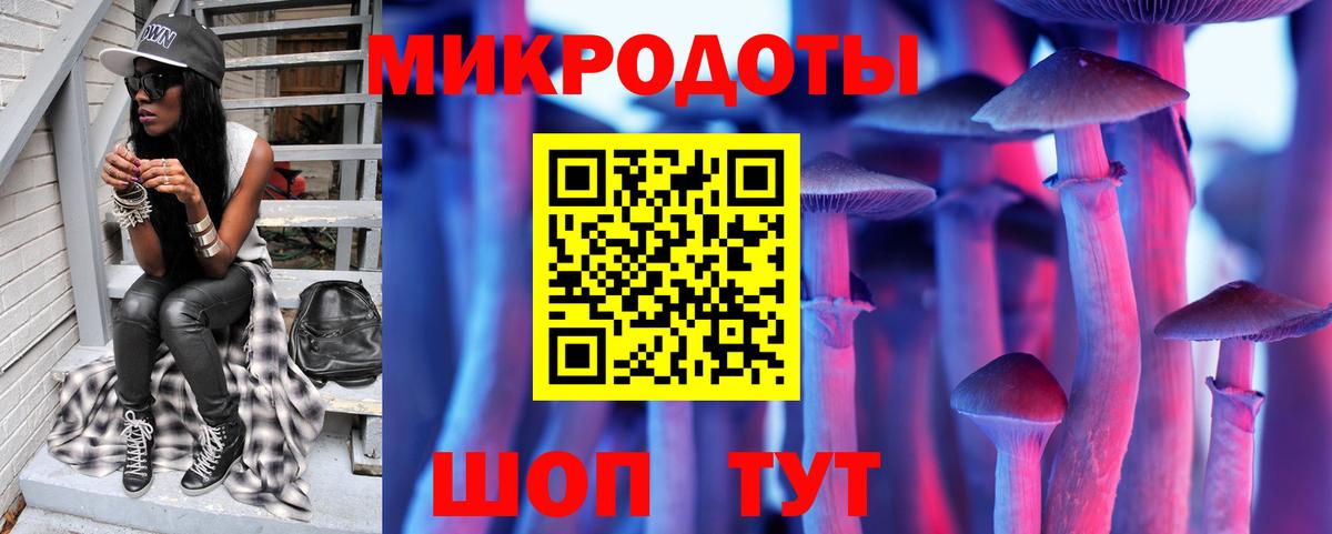 Галлюциногенные грибы Psilocybe  Псилоцибиновые грибы Magic Shrooms  Вход с VPN  Северск 